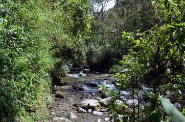 Colombia - Valle de Cocora Río Quindío