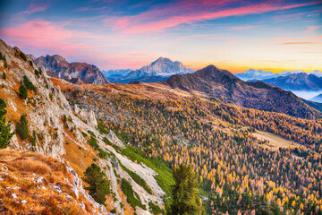 Autumn landscape with yellow larches and awesome  Monte Civetta at sunset  seen from Falzarego pass.