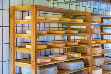 Bergkäse - Sennerei - Lager - Laib - Regal