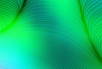 Light Green vector background with lines.
