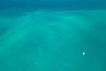 aerial shot of strange colors of water in the ocean 
