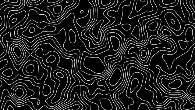 Seamless loop fractal lines background. Topographic map like abstract backdrop