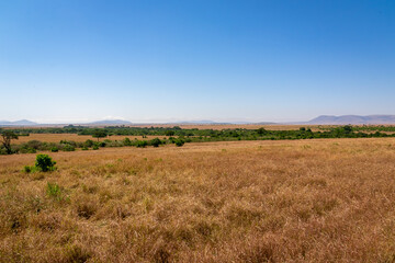 ケニアのマサイマラ国立保護区で見た、大草原と青空