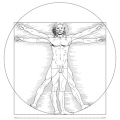 Fototapeta premium Illustration of Vitruvian man, Leonardo da Vinci drawing, Study of the anatomy of the human body, Canon of human proportions, only lines, all on white background