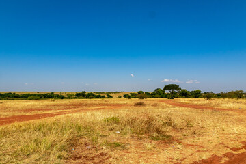 ケニアのマサイマラ国立保護区に広がる大草原と青空