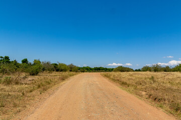 Fototapeta na wymiar ケニアのマサイマラ国立保護区に広がる野原の風景と青空
