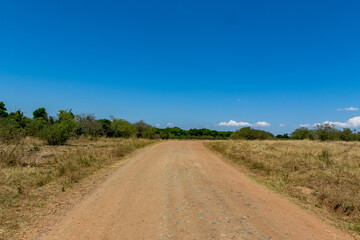 Fototapeta na wymiar ケニアのマサイマラ国立保護区に広がる野原の風景と青空