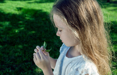 little girl in a white dress explores leaves on a green background closeup