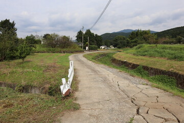 田舎道
