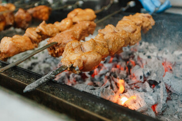 shish kebab on a skewer