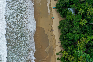 Waves in the beach with green trees