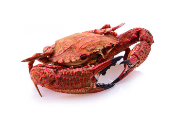 Crab muscles on white background