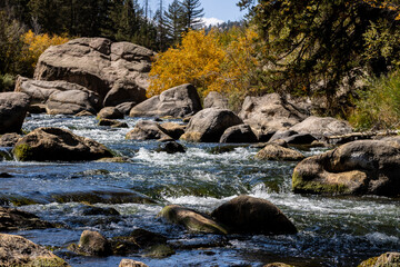 Autumn Color in Eleven Mile