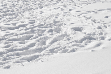 冬　雪　足跡　素材