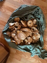 mushrooms on a table