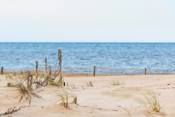 Beach landscape broken wood fence