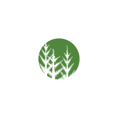 Pine tree ilustration logo vector design