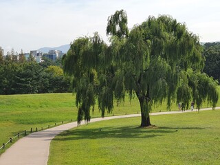 풍경