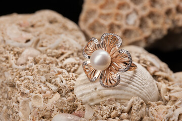 Ring And Shell