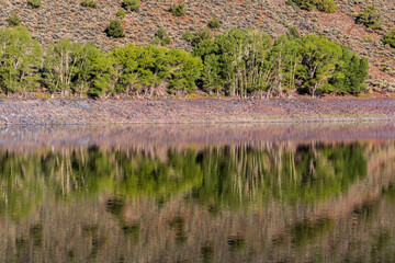 Obraz premium Reflections on the Still Waters of Foryth Resevoir, Dixie National Forest, Utah, USA