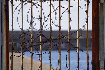 海の堤防に設置された柵と有刺鉄線/A fence and barbed wire at embankment of sea