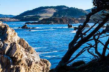 Carmelite Monestery Across Whalers Cove, Point Lobos State Natural Reserve, Big Sur, California, USA © Billy McDonald
