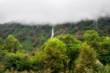 Rainforest covered in mist at Haast Pass with the partial view of Thunder Creek Falls, on the side of Haast Highway in Mount Aspiring National Park in Otago Region, Southern Alps, New Zealand.