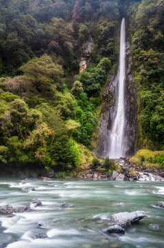 Thunder Creek Falls is a beautiful Waterfall and a popular travel destination, located In the lush green rainforest environment in Haast Pass,  New Zealand, South Island.