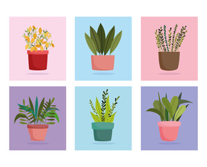 gardening, set of different green plant pots, color block icons