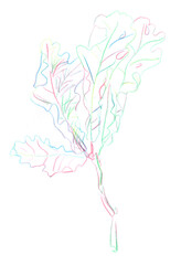 oak leaves, graphic linear multicolored pattern on a white background