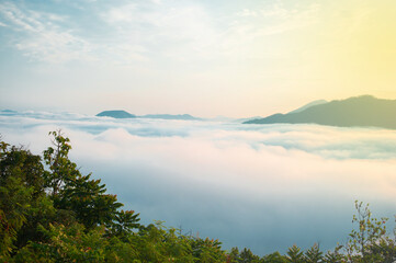 Foggy morning valley area, fair light of the sun, beautiful scenery.