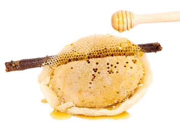 Fototapeta premium honey dipper and honey an isolated on white background