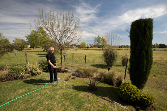 Gardening. Portrait of a mature caucasian man in his 60s watering the plants in the garden with a hose un a beautiful sunny day.