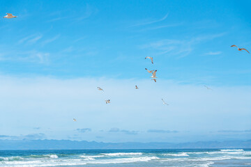 Beautiful seascape and flock of birds flying over the sea. Ocean waves, and cloudy sky background