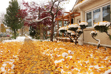 Early snow background, climate changing concept. Scenic morning landscape with autumn bright color trees and street covered by fresh first snow in the private houses residential neighborhood. 