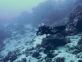 Fototapeta na wymiar The underwater world in Mayotte