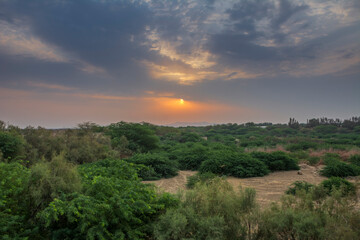 Fototapeta premium Sunrises