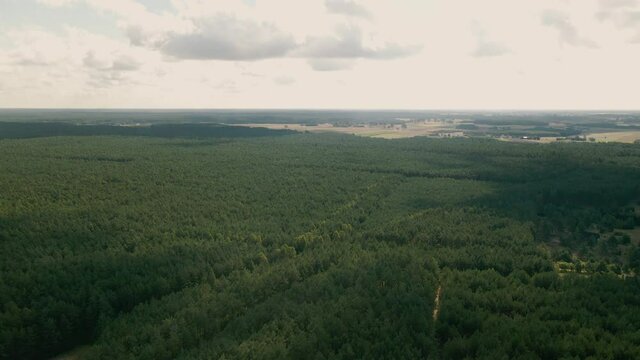 Beautiful Nature Scenery With Cloudscape At The Forest From Kawolskie Blota In North Central Poland. - Aerial Drone Shot