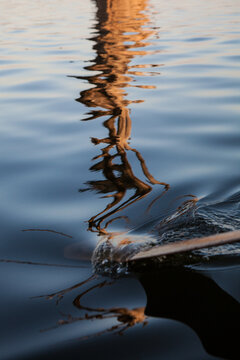 U Bein Bridge Reflections