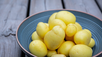 New potato in a plate