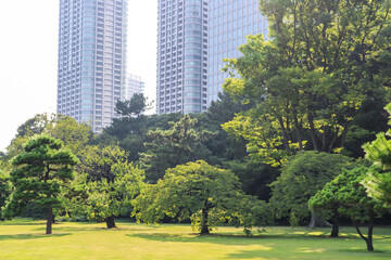 都会 公園 緑 芝生