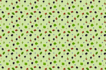 Set of wild berries, blackberry, blueberry, lingonberry and bramble. Background on green backdrop made from autumn forest wild berries.