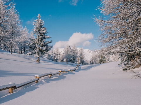 Typical Winter Landscape in the Alps