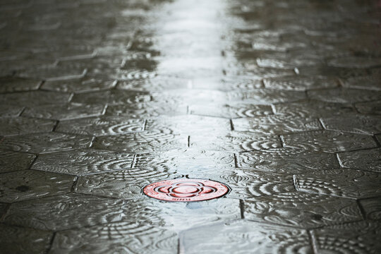 Modernist route on Barcelona streets. Tiles of street on rainy day.