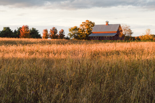 red barn or stable in a field of dry grass in autumn