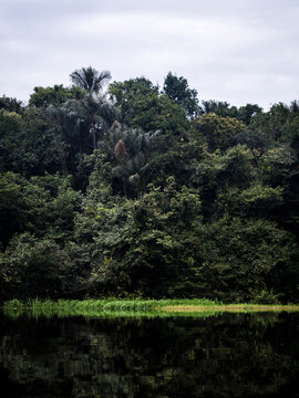 Tributary off the Amazon - Rio Negre river, Brazil
