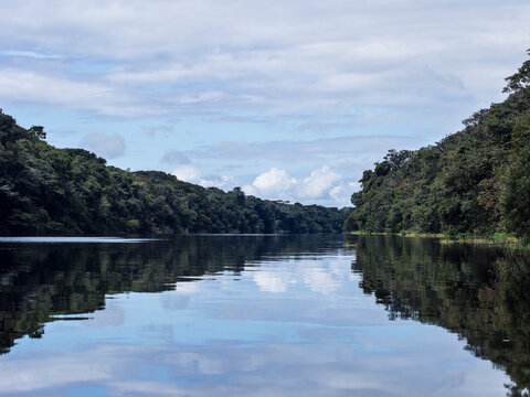 Tributary off the Amazon - Rio Negre river, Brazil