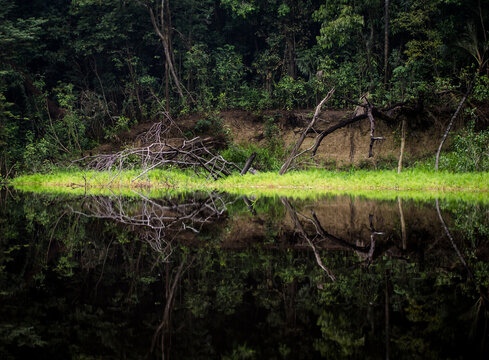 Tributary off the Amazon - Rio Negre river, Brazil
