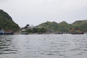 HA LONG BAY, VIETNAM - March 13, 2020: Halong Bay, Vietnam. Unesco World Heritage Site. Traditional tourist boats.