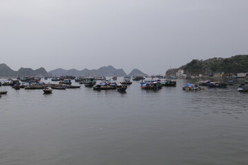 Fototapeta na wymiar HA LONG BAY, VIETNAM - NOVEMBER 13, 2018: Halong Bay, Vietnam. Unesco World Heritage Site. Traditional tourist boats.